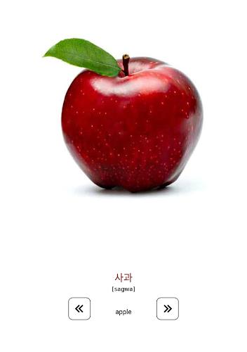 Learn and play Korean words Screenshot12