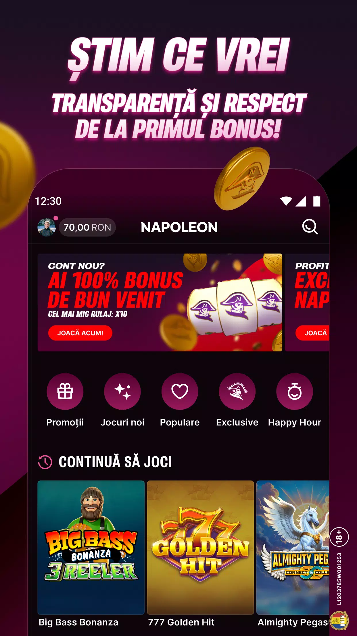 Napoleon Games Screenshot2