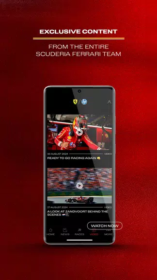 Scuderia Ferrari Screenshot3