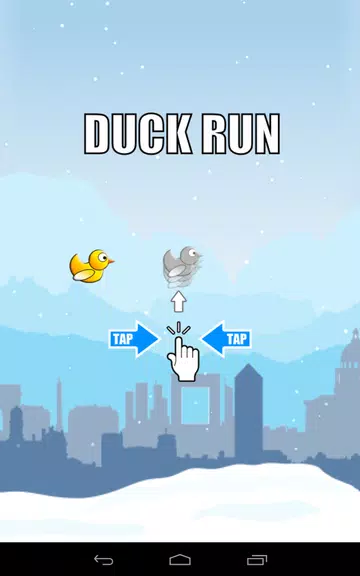 Duck Run Screenshot3
