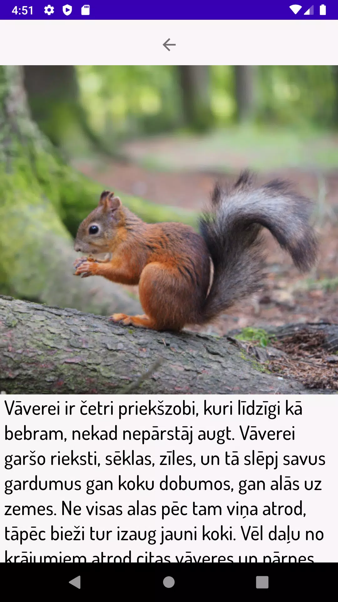 AtverSparnusLidojumamKosam Screenshot3