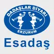 Esadaş Turizm APK