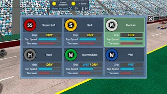 American Speedway Manager Screenshot8