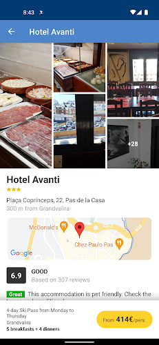 Esquiades.com - Ski and Hotels Screenshot4