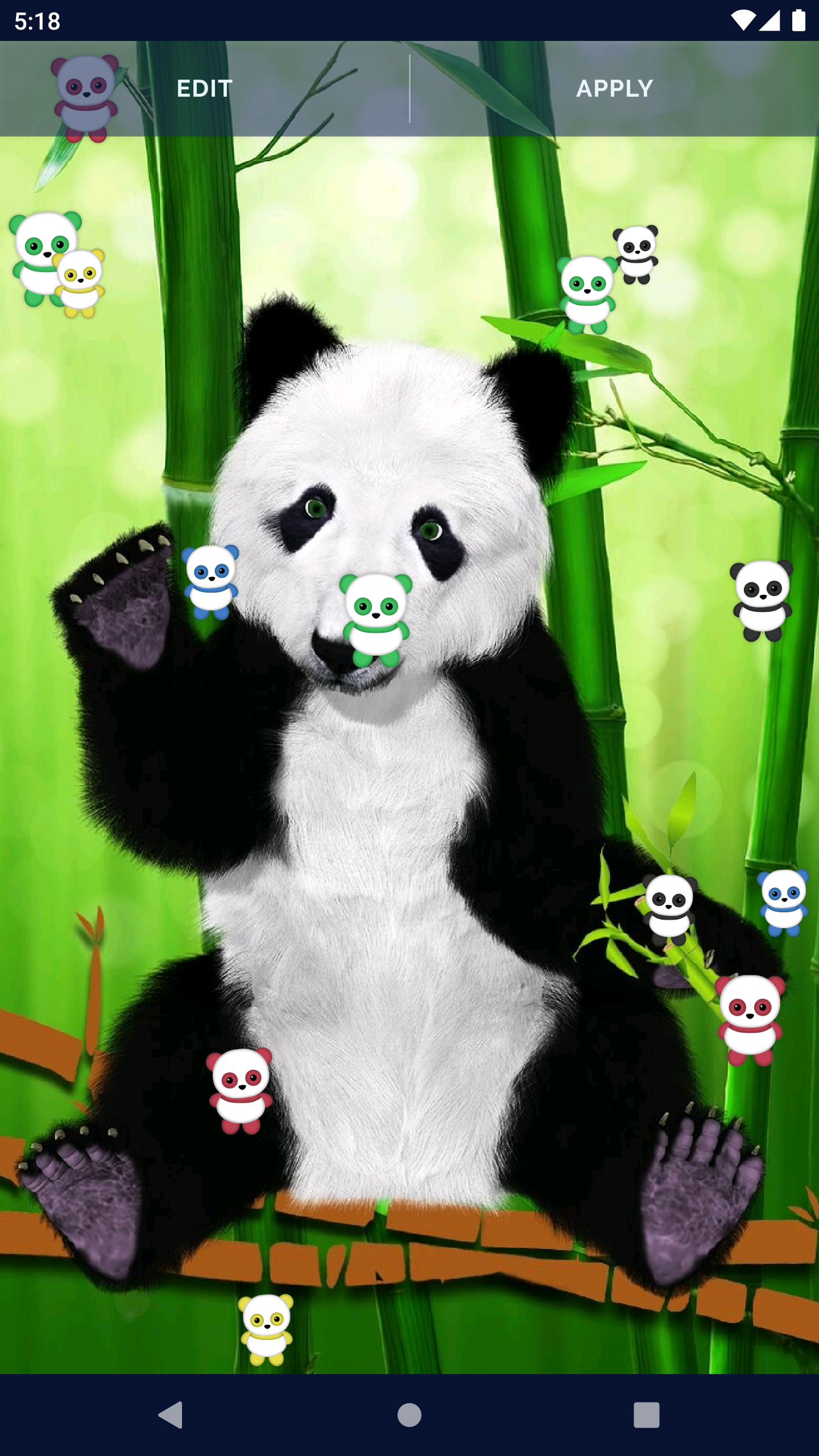 Panda Kawaii Live Wallpaper Screenshot6