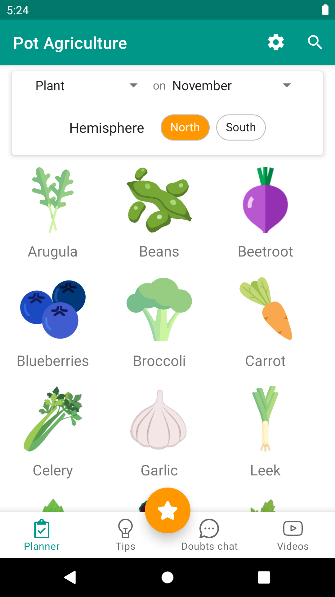 Urban veggie garden Screenshot1