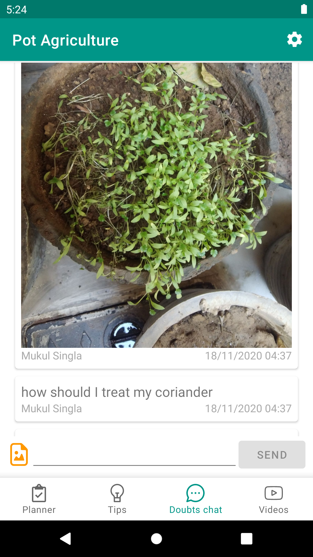 Urban veggie garden Screenshot4