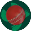 Super Cricket: Bats & Blades APK