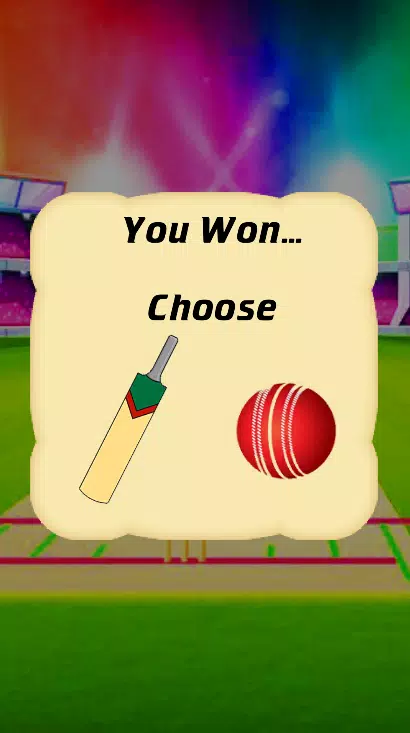 Cricket Multiplayer Screenshot6