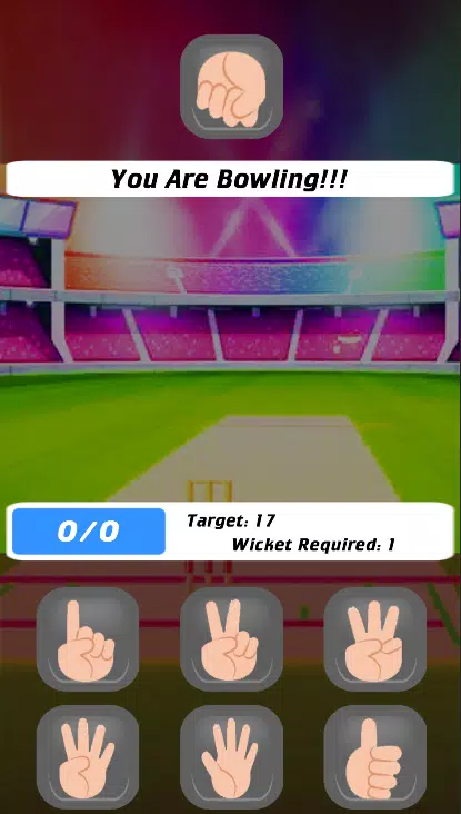 Cricket Multiplayer Screenshot7