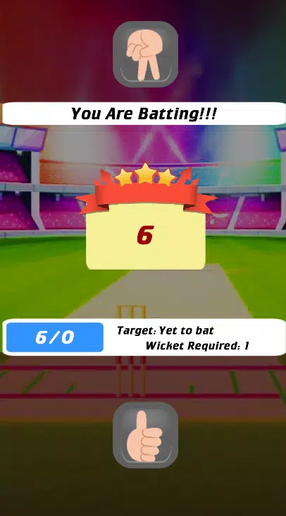 Cricket Multiplayer Screenshot4