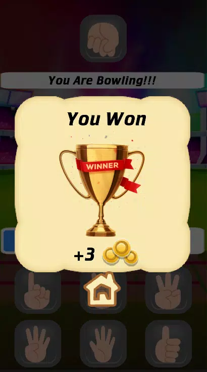 Cricket Multiplayer Screenshot5