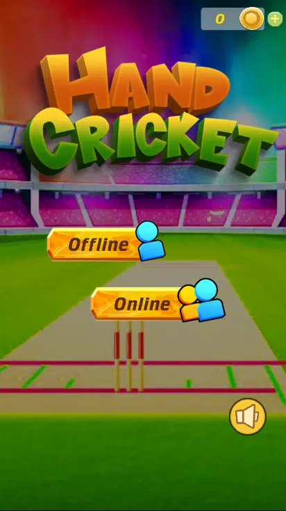 Cricket Multiplayer Screenshot1