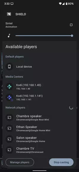 Yatse: Kodi remote and cast Screenshot2