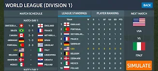 World Football Simulator Screenshot1