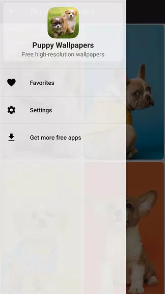 Puppy Wallpapers Screenshot4