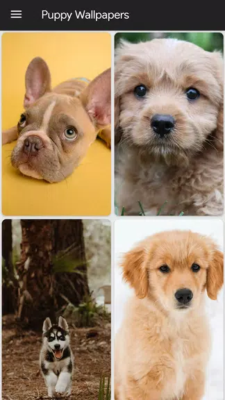 Puppy Wallpapers Screenshot1