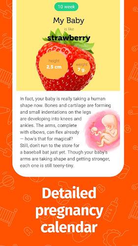 Pregnancy App and Baby Tracker Screenshot3