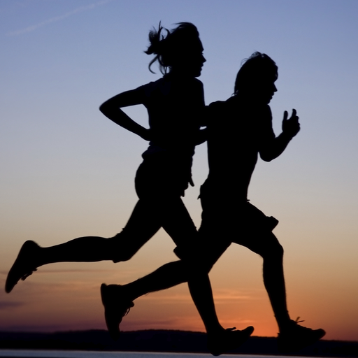 Yo-Yo Intermittent Test APK