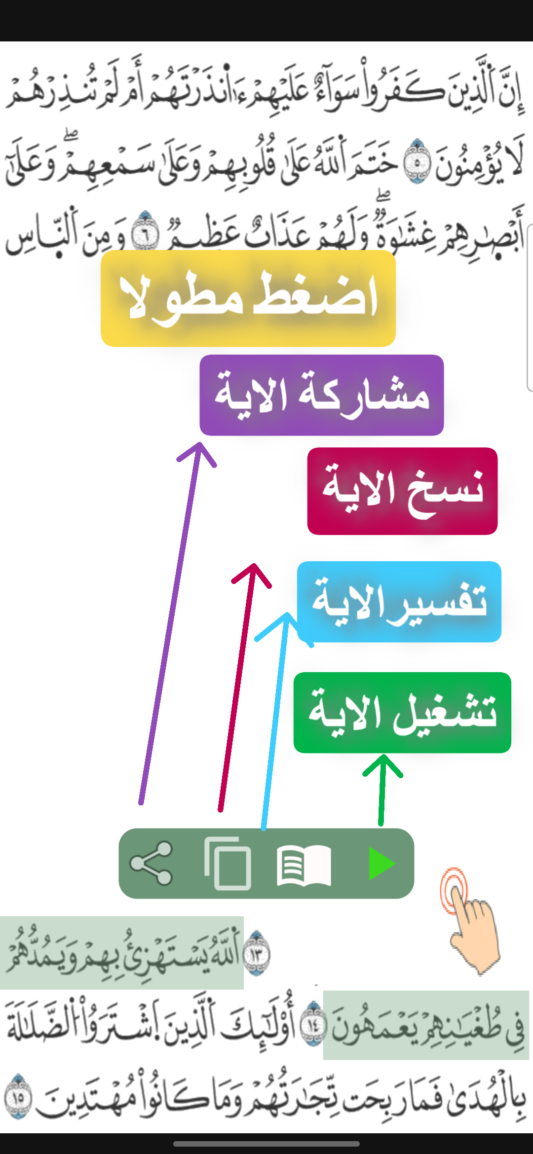 قرآن  |  ورش التجويد Screenshot6