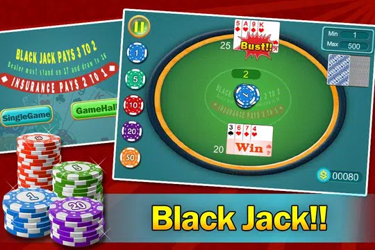 BlackJack - Daily 21 Points Screenshot1