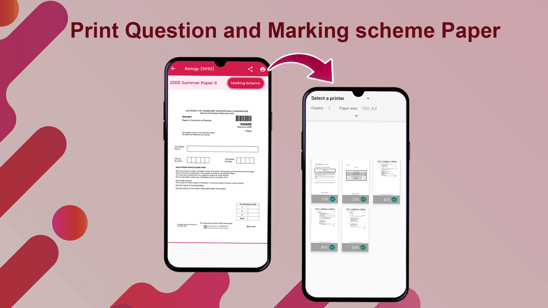 O Level Past Paper & Solutions Screenshot6
