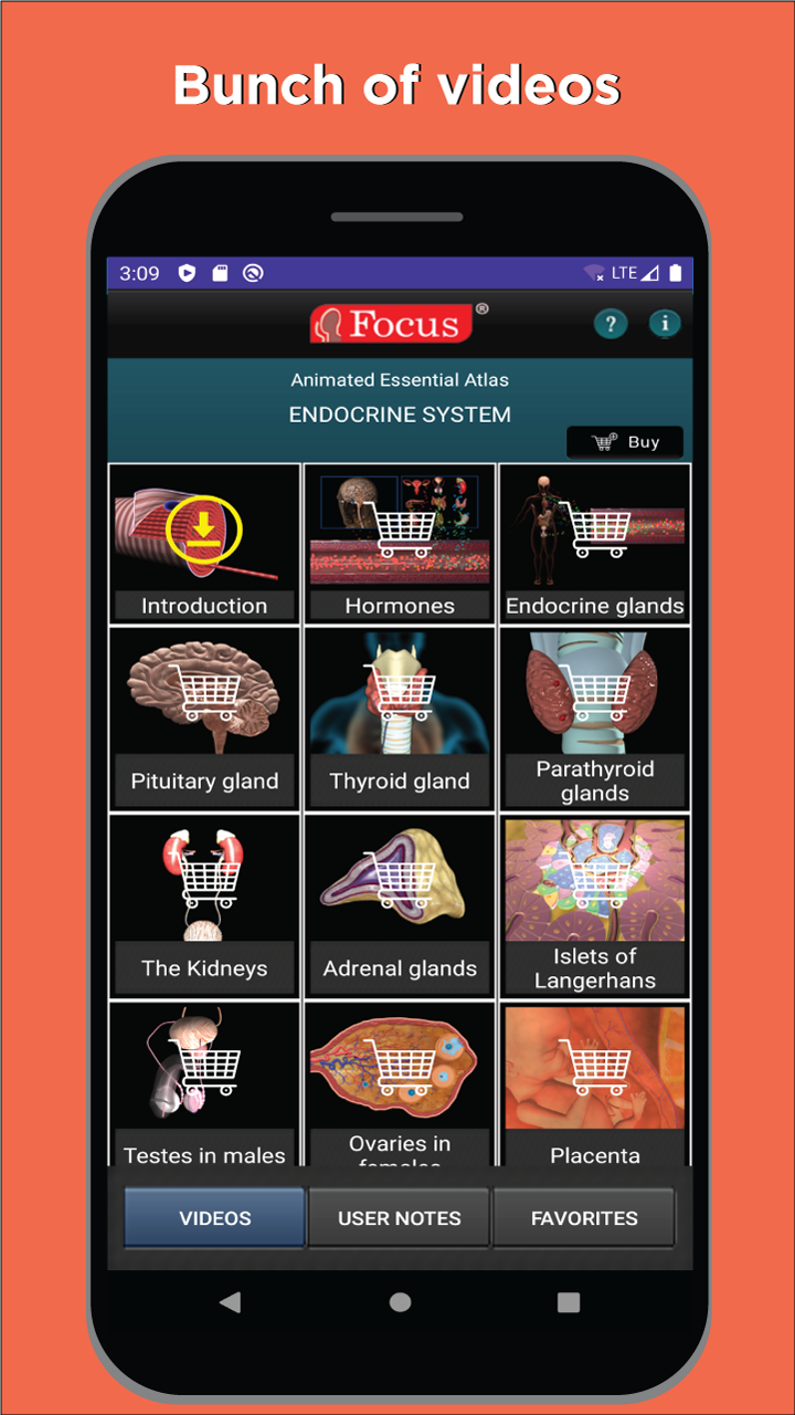 Anatomy and Physiology atlas Screenshot2