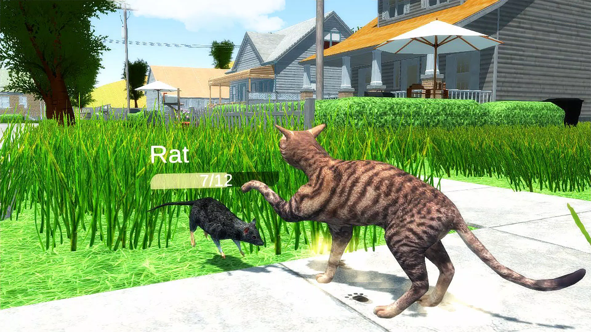 The Cat Screenshot3
