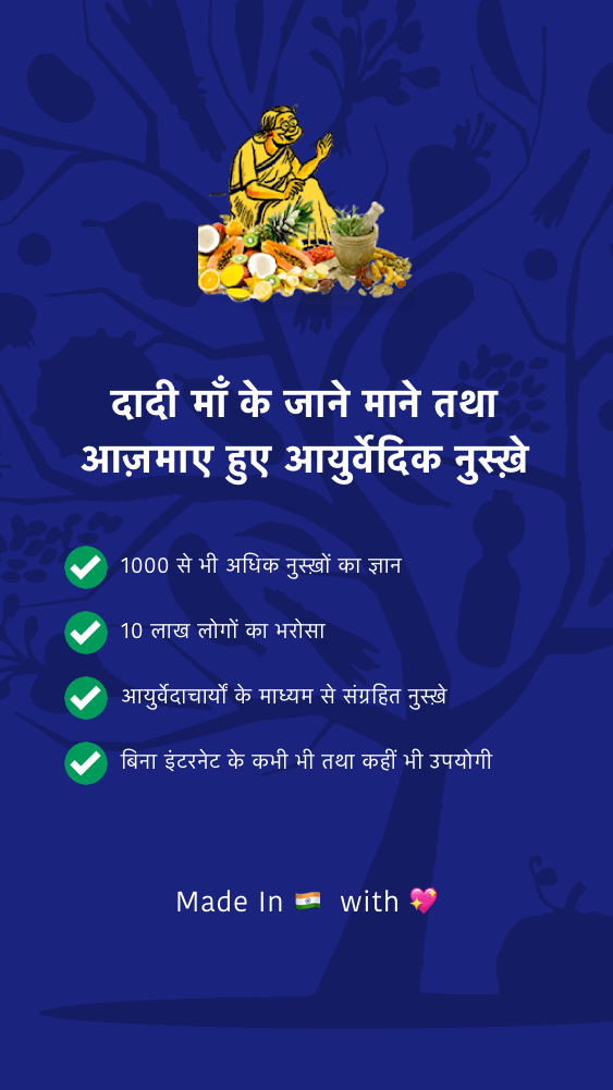 Dadi maa ke Ayurvedic Nuskhe Screenshot1