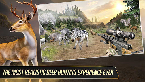 Wild Animal Shooting Screenshot1