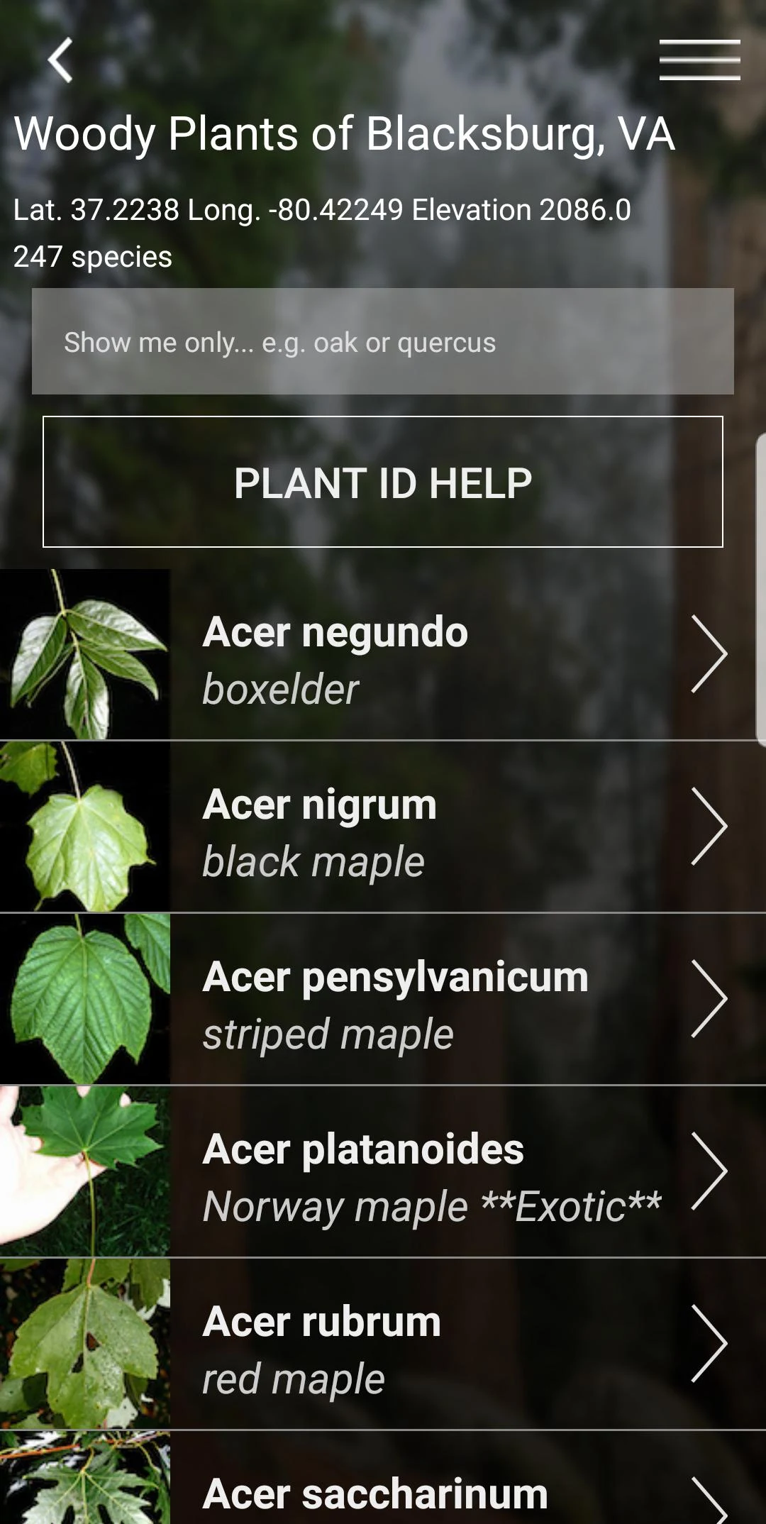 Virginia Tech Tree ID Screenshot4