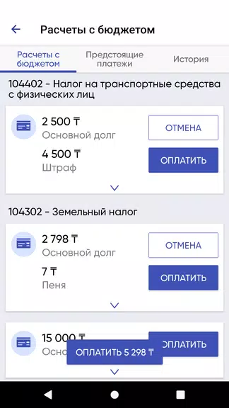 e-Salyq Azamat Screenshot4