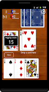 Cribbage Classic Screenshot2