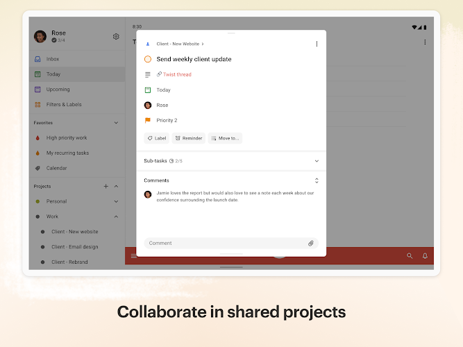 Todoist: to-do list & planner Screenshot10