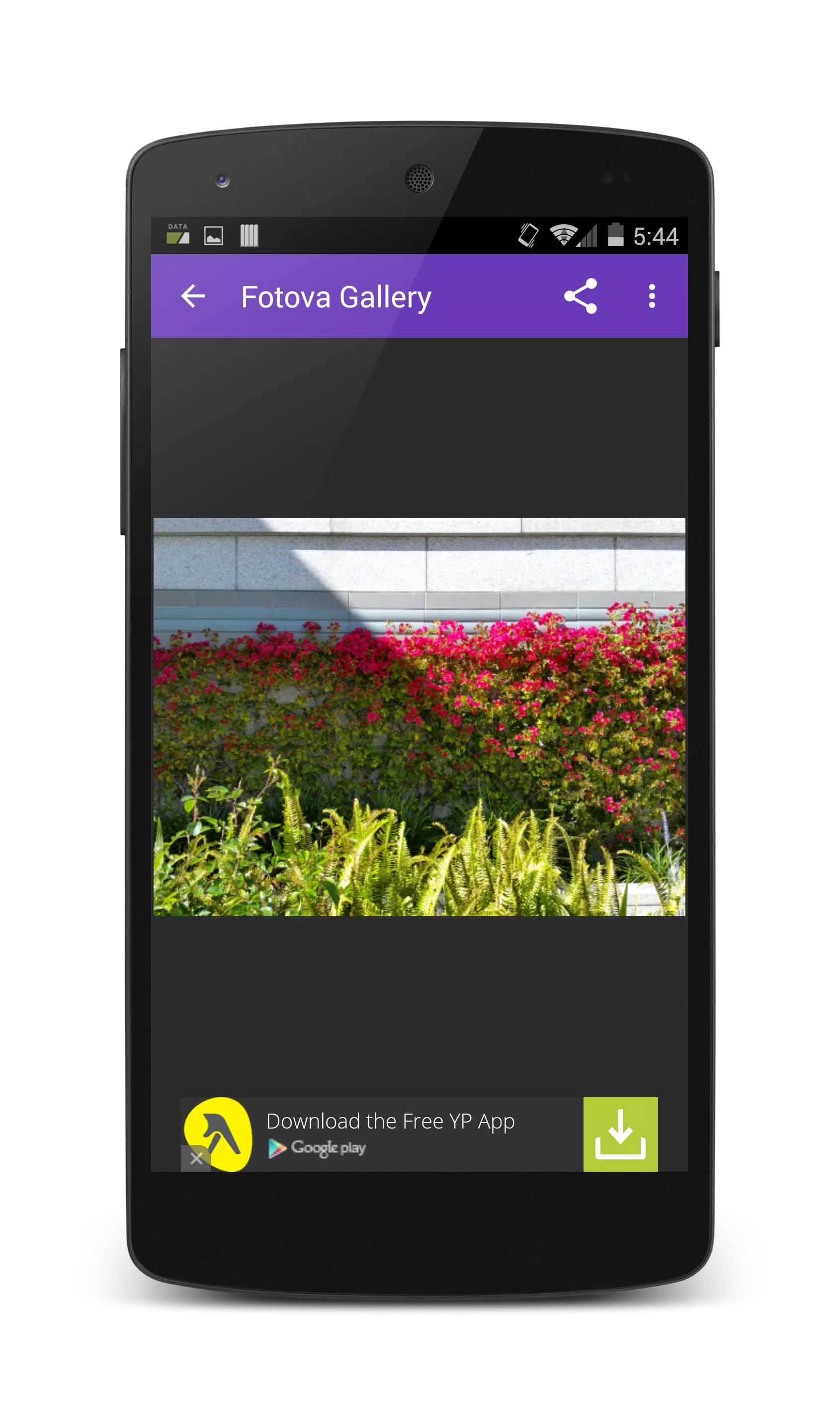 Fotova Gallery Screenshot4