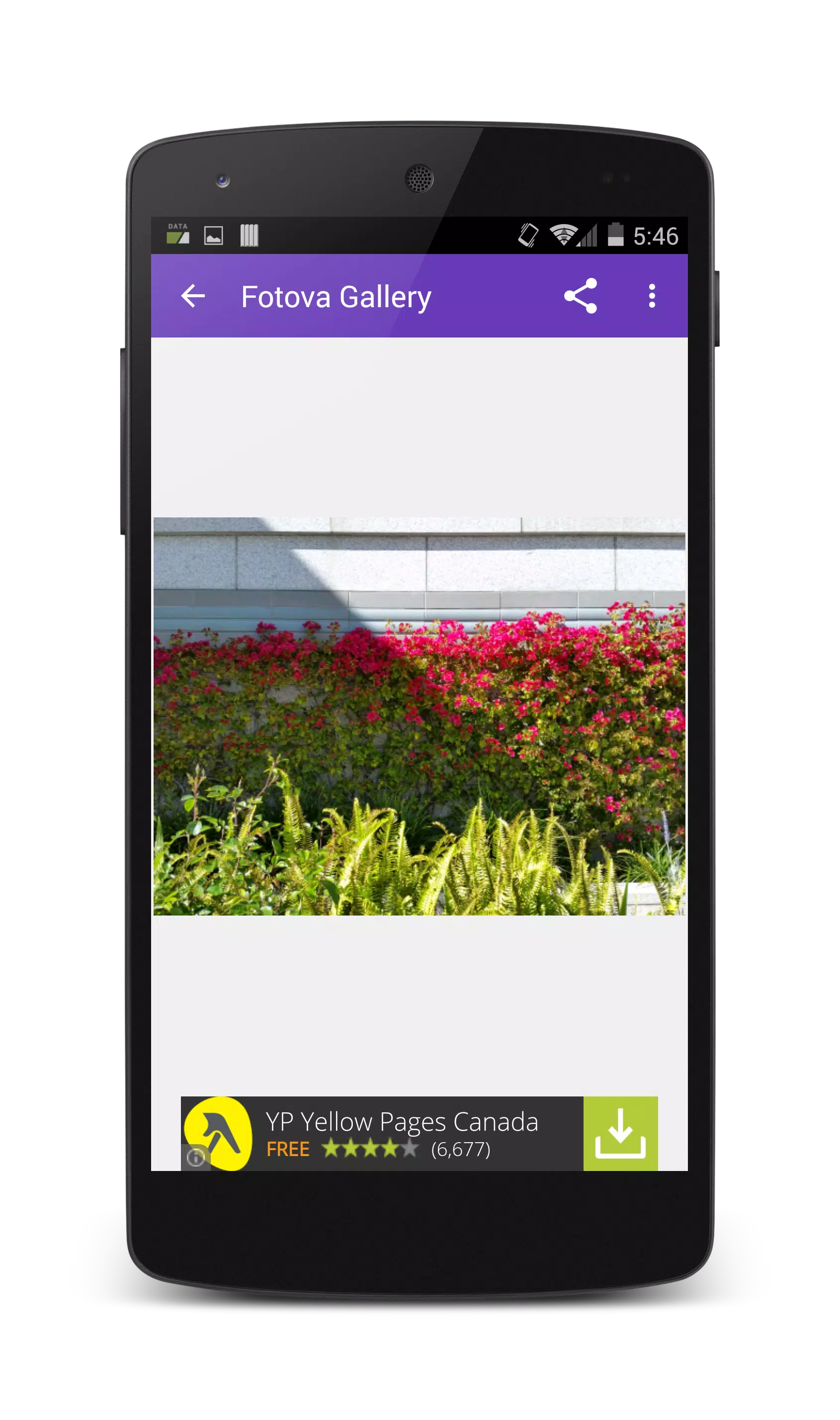 Fotova Gallery Screenshot7