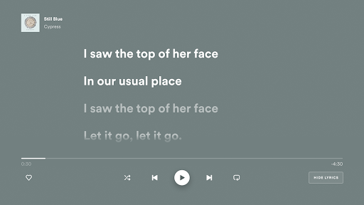 Spotify - Music and Podcasts Screenshot3