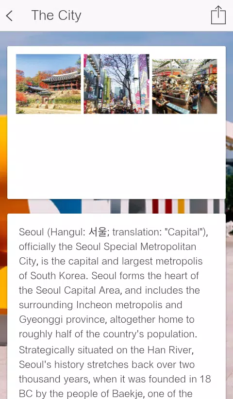 Visit Seoul City Screenshot2