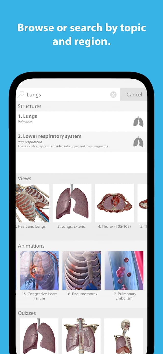 Human Anatomy Atlas 2024 Screenshot4