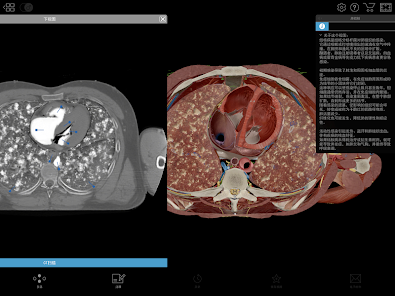 Physiology & Pathology Screenshot23