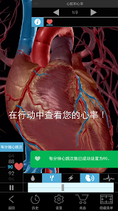 Physiology & Pathology Screenshot8
