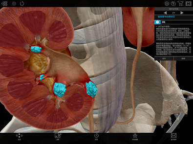 Physiology & Pathology Screenshot20