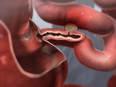 Physiology & Pathology Screenshot22