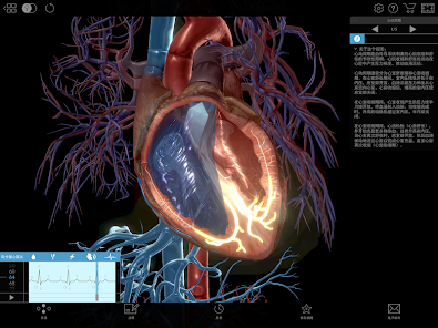 Physiology & Pathology Screenshot17