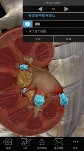 Physiology & Pathology Screenshot4
