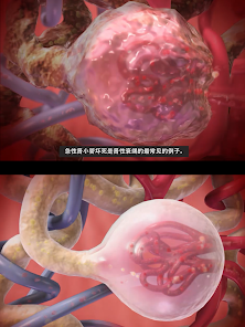 Physiology & Pathology Screenshot19