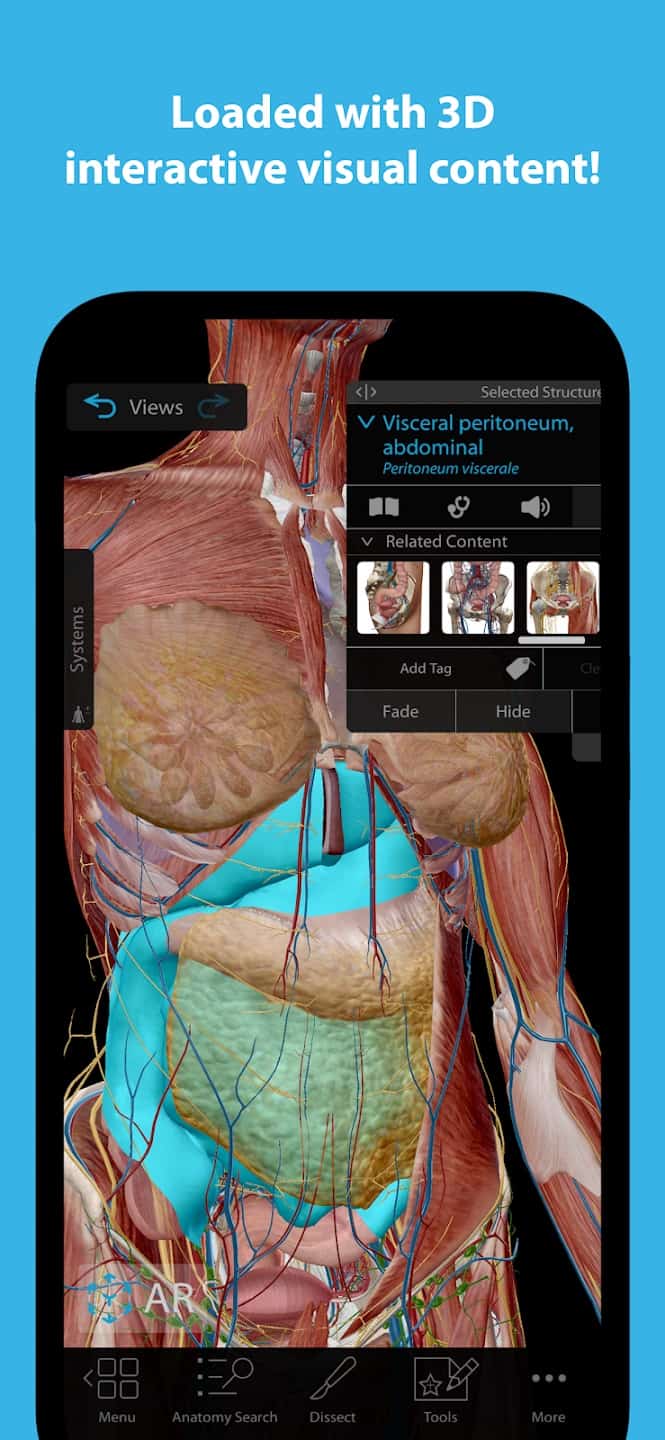 Human Anatomy Atlas 2024 Screenshot1