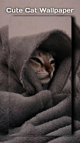 Cute Cat Wallpaper Screenshot2