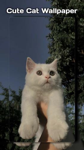 Cute Cat Wallpaper Screenshot5