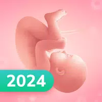 Pregnancy and Due Date Tracker APK